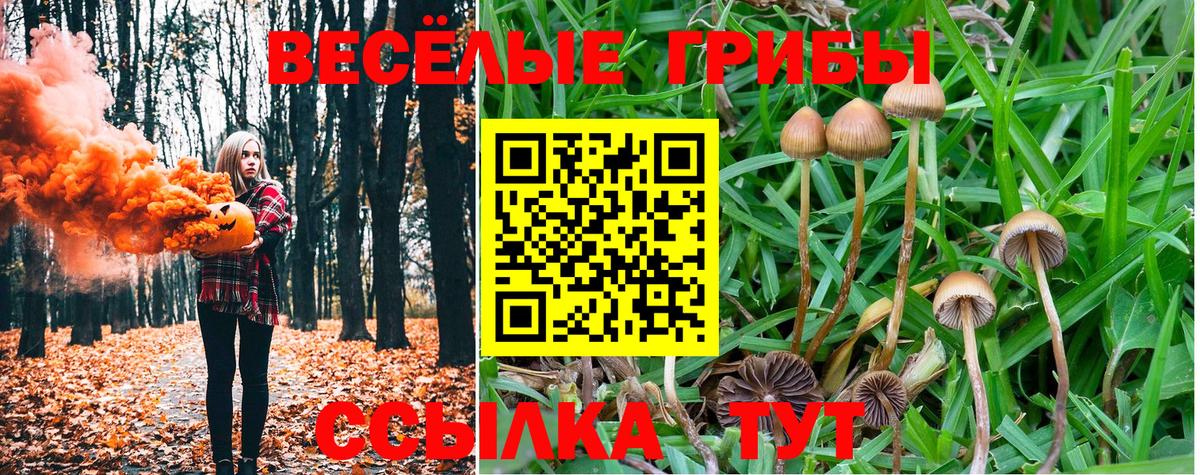 Псилоцибиновые грибы прущие грибы Волжск