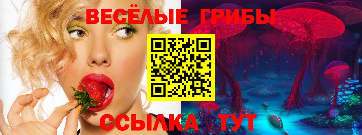 Псилоцибиновые грибы Psilocybine cubensis  Галлюциногенные грибы прущие грибы  Вход с VPN  Волжск 